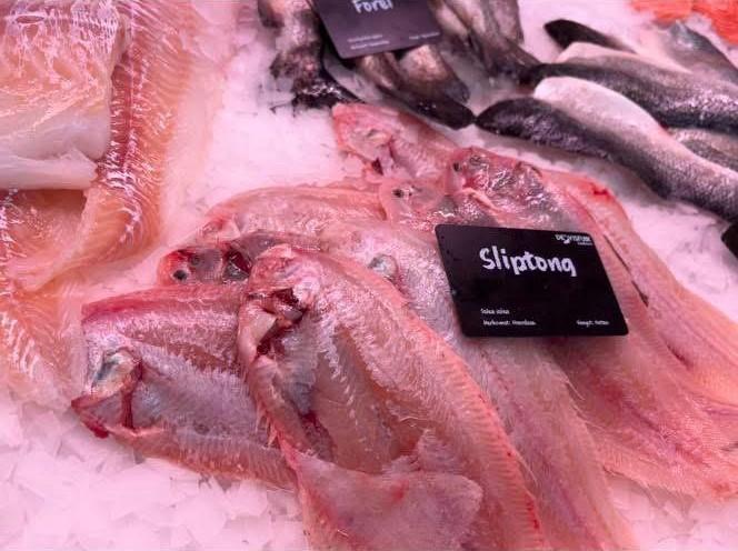 Verse sliptong en forel in de vitrine van De Visfuik