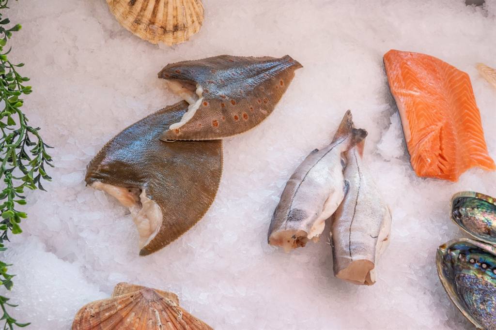 Verse schol, zalm en zeevruchten op ijs bij De Visfuik